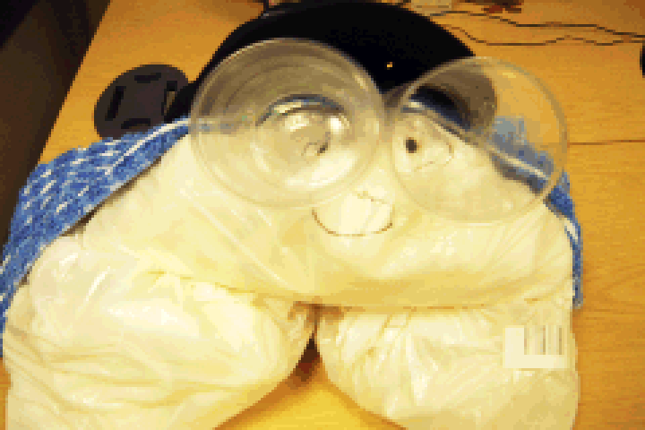 Army Men: Operation Green: the T4K34W4Y photo, a face built out of plastic bags(?) with two clear plastic cups for eyes.